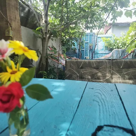 Delta Ca Odinioara 3* Sulina