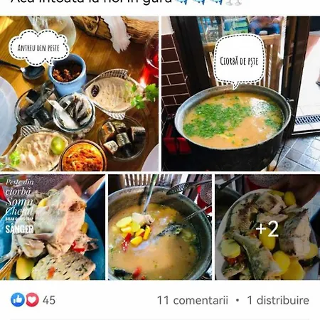 Pensión Delta Ca Odinioara