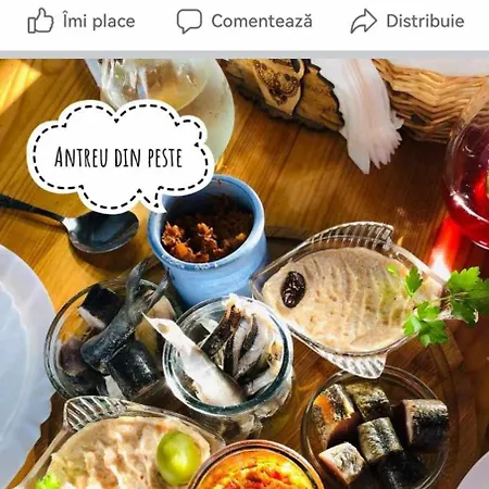 Pensión Delta Ca Odinioara 3*