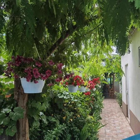 Pensión Delta Ca Odinioara Sulina