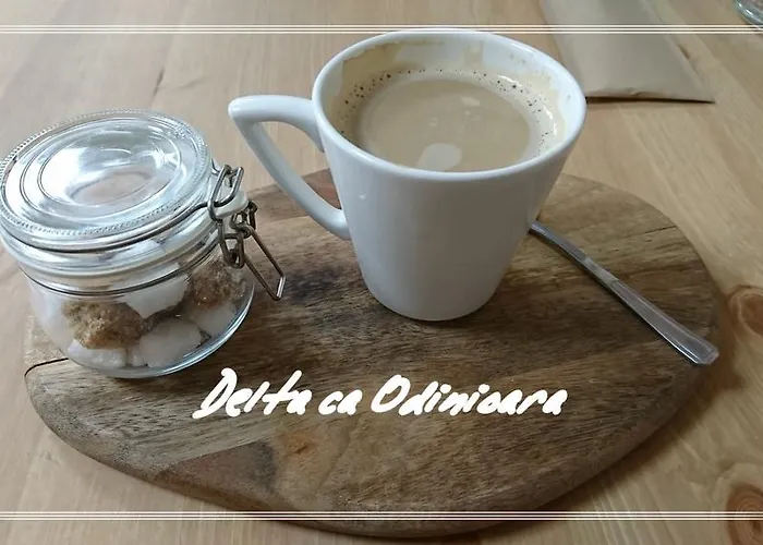 Delta Ca Odinioara Pensiune