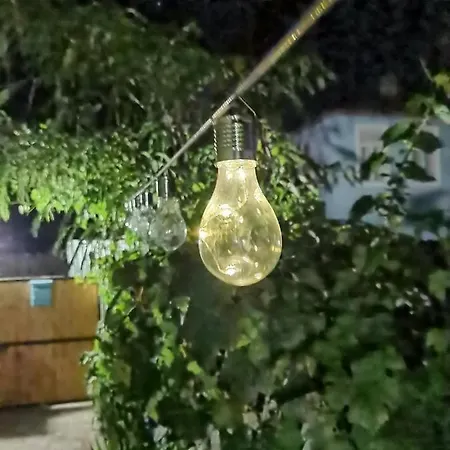 Delta Ca Odinioara Sulina