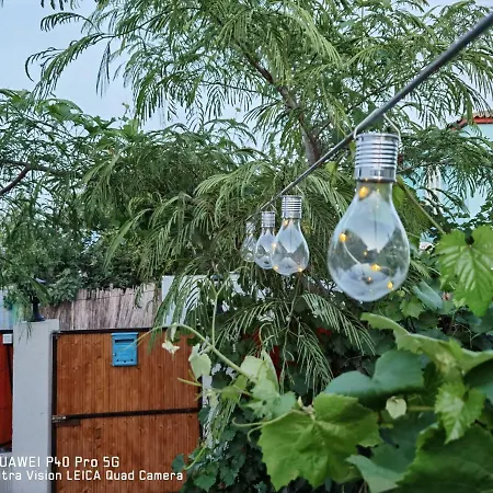 Delta Ca Odinioara Sulina