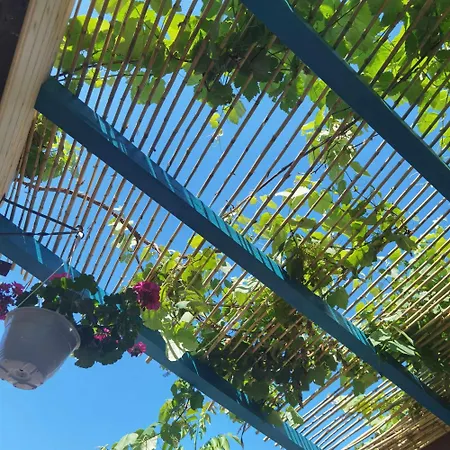 Gasthuis Delta Ca Odinioara 3*