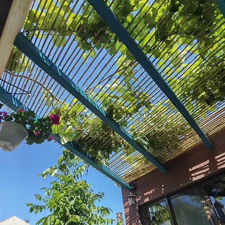 Delta Ca Odinioara 게스트하우스 3*