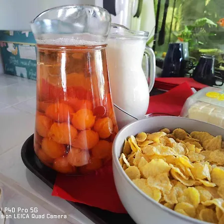 Gasthuis Delta Ca Odinioara Sulina