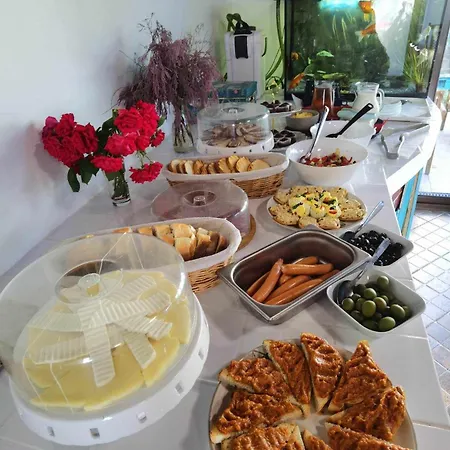 게스트하우스 Delta Ca Odinioara