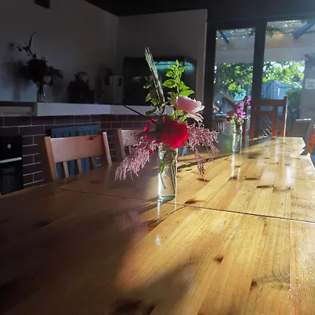 Delta Ca Odinioara 게스트하우스