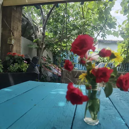 Gasthuis Delta Ca Odinioara Sulina