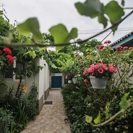 Delta Ca Odinioara 3* 술리나