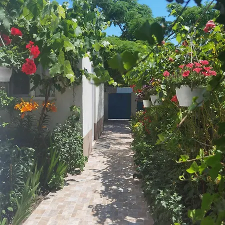 Delta Ca Odinioara Sulina