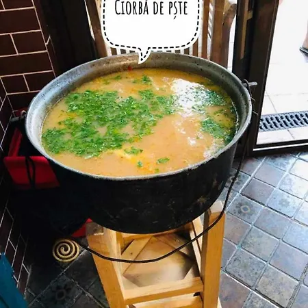 Delta Ca Odinioara 게스트하우스 술리나