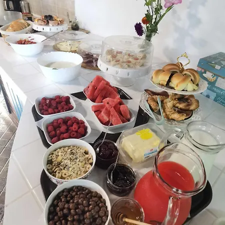 게스트하우스 Delta Ca Odinioara 술리나