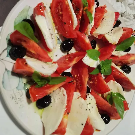 Gasthuis Delta Ca Odinioara Sulina