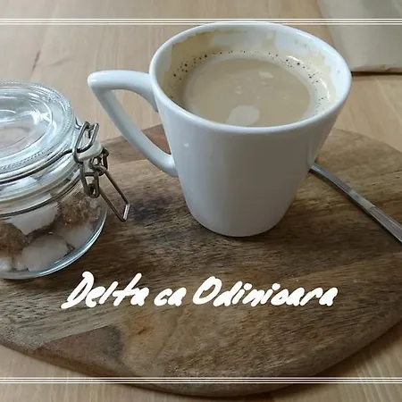 Delta Ca Odinioara 게스트하우스