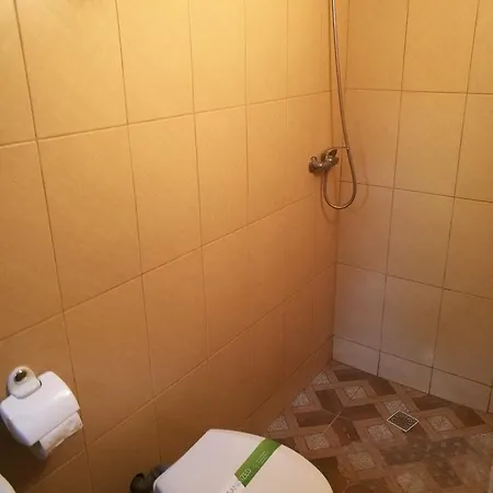 게스트하우스 Delta Ca Odinioara 술리나